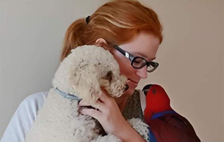 Estelle Dodelin - Haut Les Pattes Médiation Animale